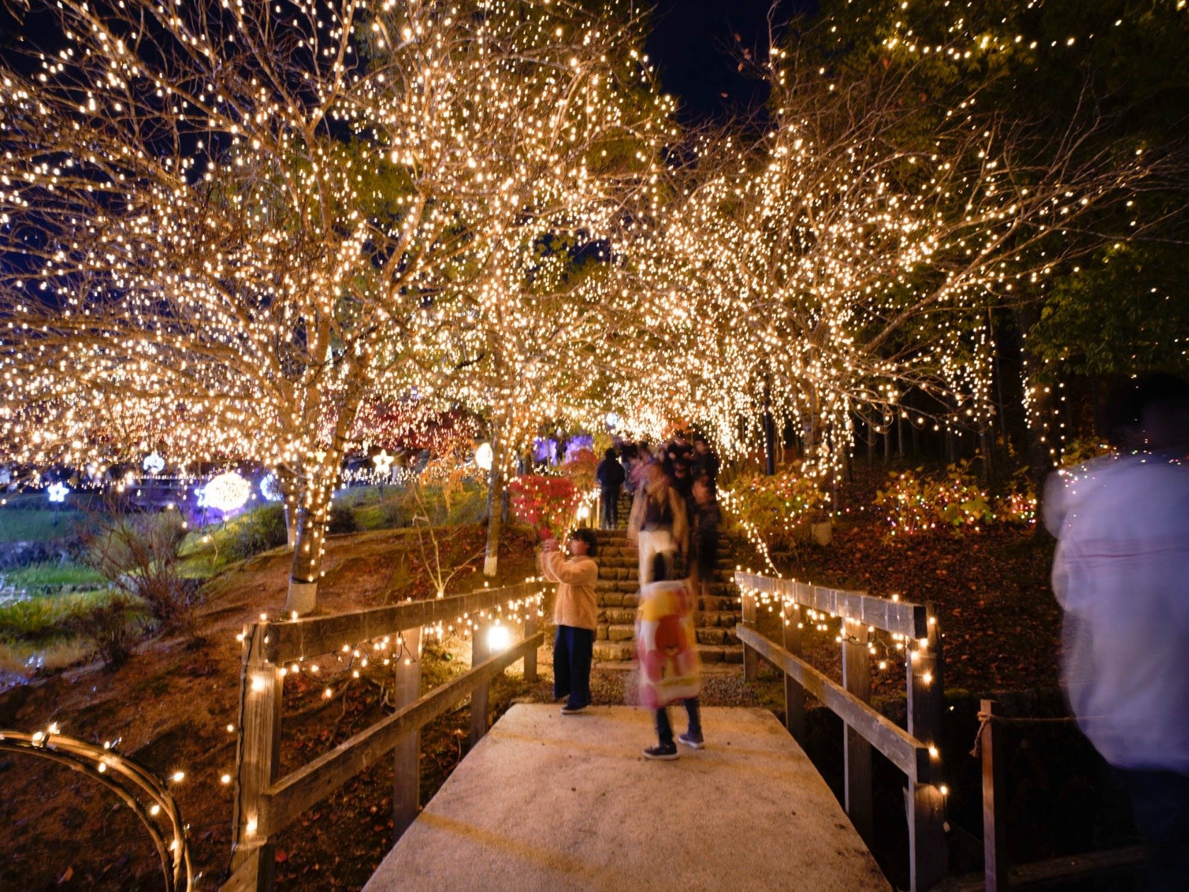 2021-2022】広島県のイルミネーションおすすめ特集＆実際の様子を紹介