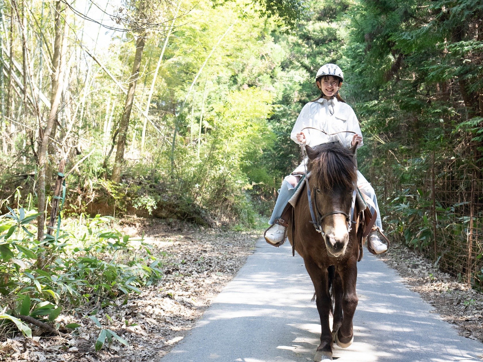 安芸高田市で乗馬体験してきた！とてもおすすめなホースセラピー