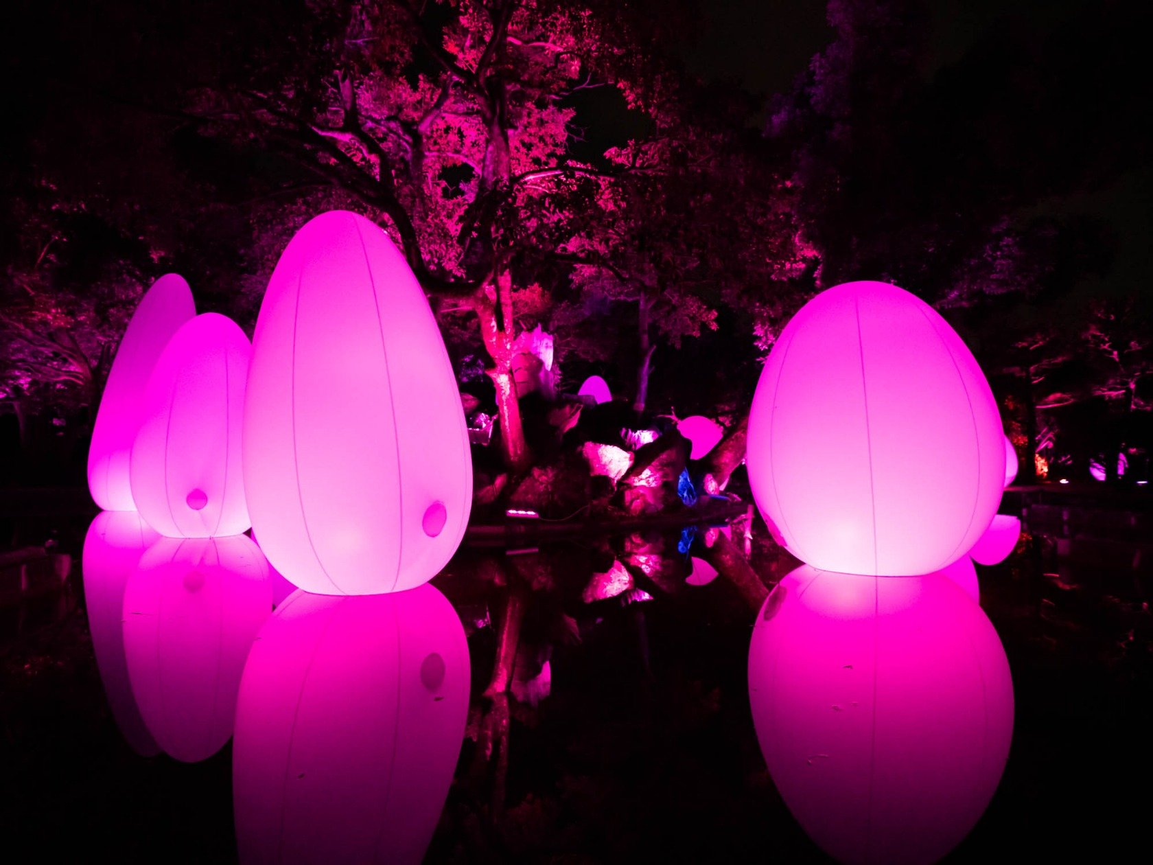 「チームラボ 広島城 光の祭」に魅了されるアート空間を体験してきた！